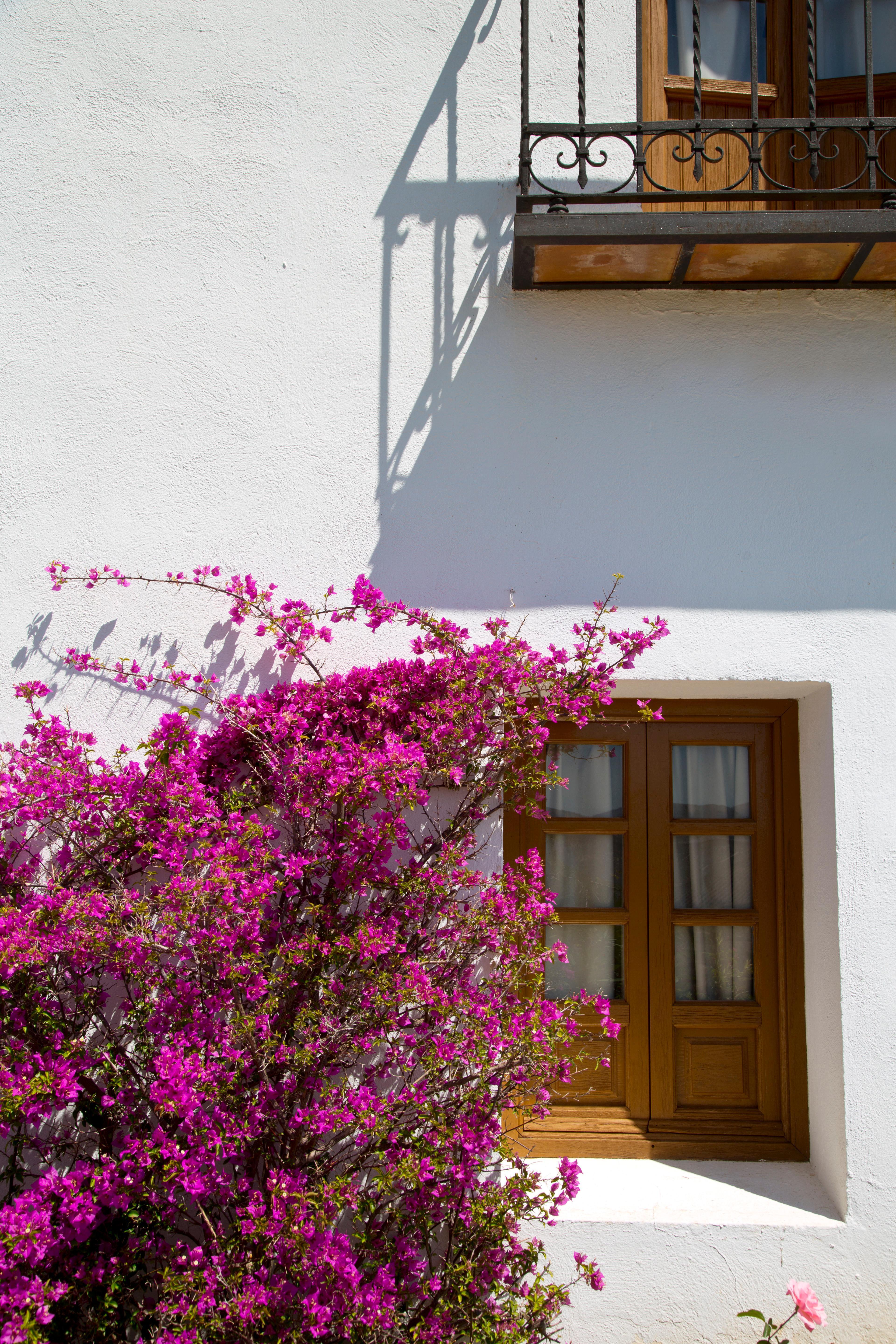 Villa Turistica De Priego Priego de Córdoba Екстериор снимка